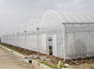 潍坊蔬菜大棚供暖